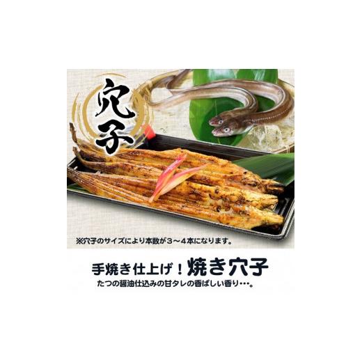 ふるさと納税 兵庫県 たつの市 H-199　道の駅みつ特製焼き穴子（３〜４本）