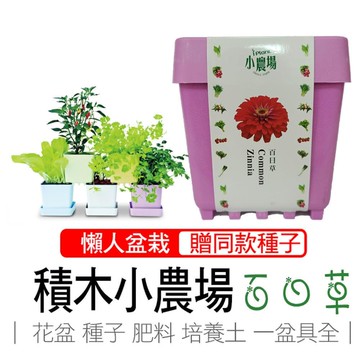 【心安購物】iPlant積木盆栽-百日草