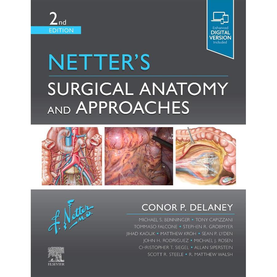 Netter's Surgical Anatomy and Approaches (Netter Clinical Science)