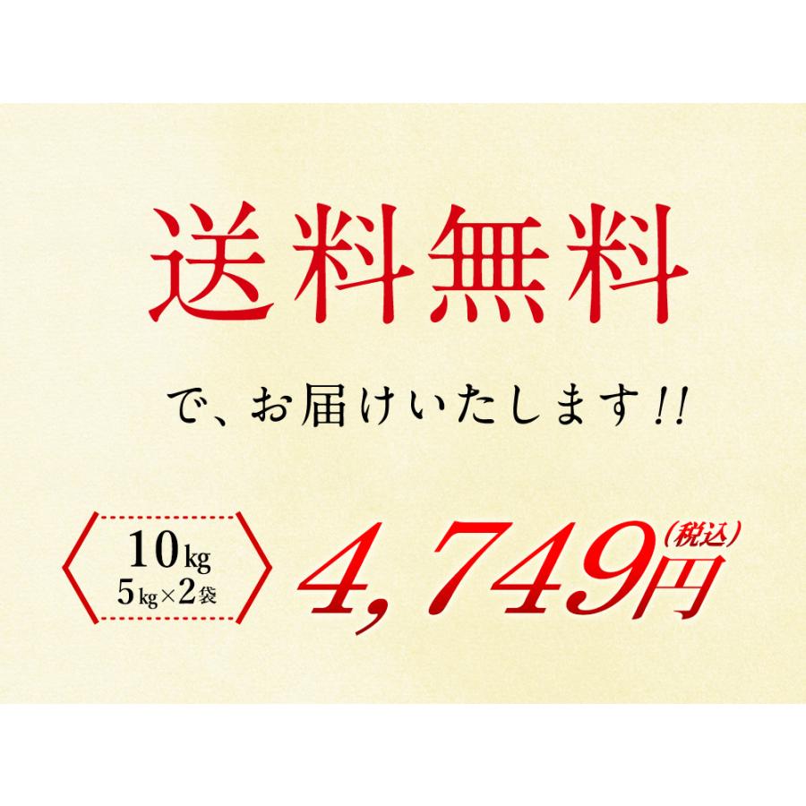 新米 特別栽培  丹波産（兵庫県）コシヒカリ10kg（5kg×2袋）  送料無料 令和5年産 特別栽培  精米 お米 （北海道・沖縄別途送料）（配達日・時間指定は不可）