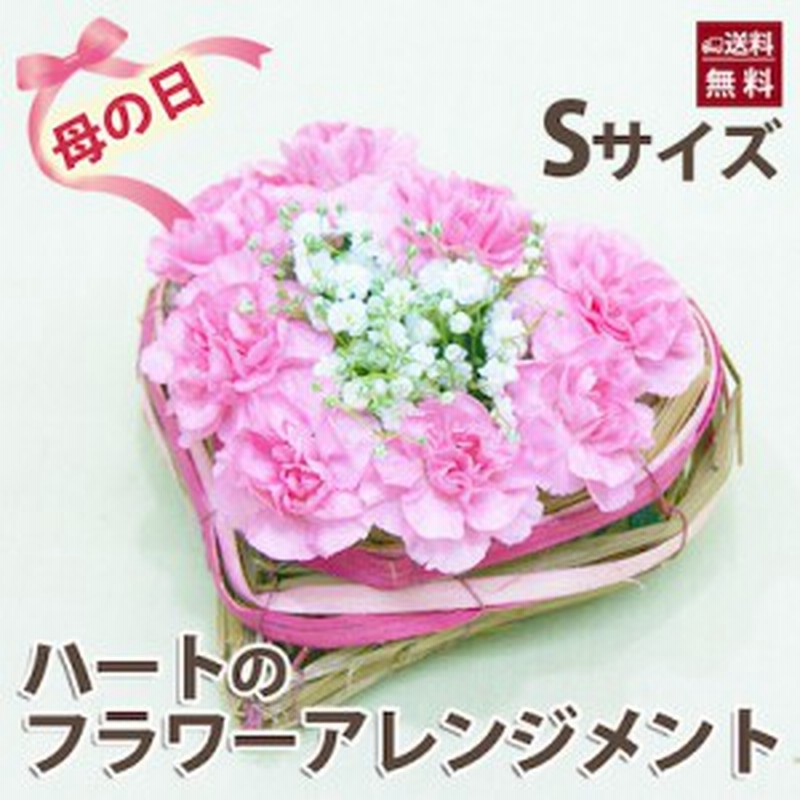 カーネーション プレゼント ギフト カーネーションで作るハートのアレンジメント Sサイズ フラワーギフト 送料無料 鉢植え 花 ギフ 通販 Lineポイント最大1 0 Get Lineショッピング