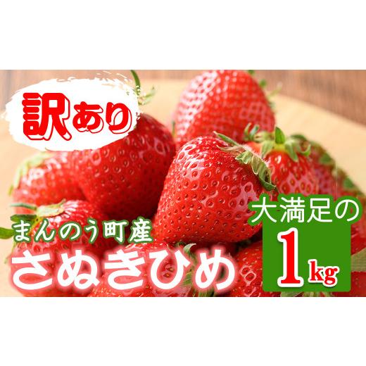 ふるさと納税 香川県 まんのう町 ＜先行予約！2024年3月下旬以降順次発送予定＞＜訳あり＞ ＜選べる容量＞香川県産 さぬきひめいちご(約1kg) 北海道・沖縄・離…