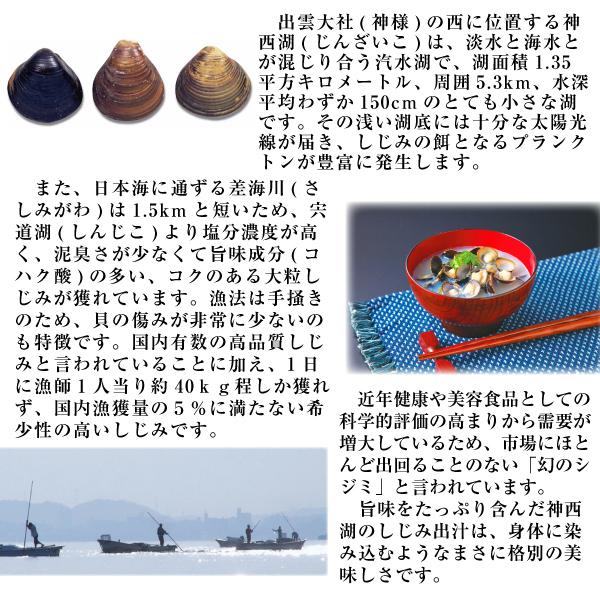 貝類 シジミ 送料無料 島根県 神西湖産 大和しじみ 1kg