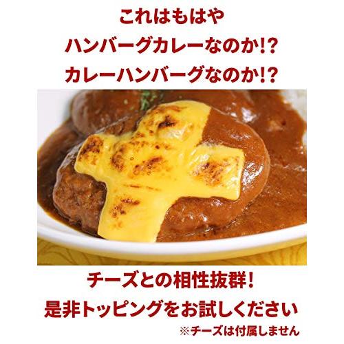 ハンバーグステーキカレー 250g ×2個 中辛 36チャンバーズ・オブ・スパイス レトルトカレー