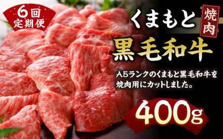 A5ランクのくまもと 黒毛和牛 焼肉用 400g×6回 計約2.4kg 牛肉