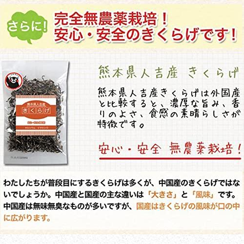 濃厚な旨みと豊かな香り！ 熊本県 人吉産 きくらげ スライス タイプ （20ｇ×3袋）