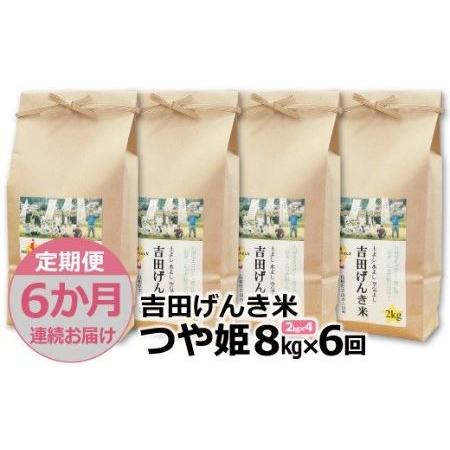 ふるさと納税 「吉田げんき米」つや姫8kg（2kg×4） 島根県雲南市