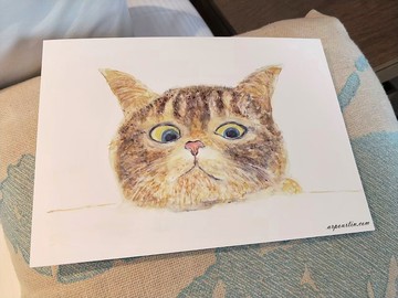 明信片/裝飾畫/貓/海報/裝飾畫片/居家佈置/手繪