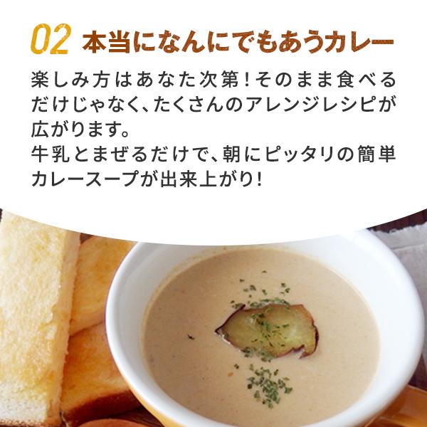 レトルトカレー 五島の鯛で出汁をとったなんにでもあうカレー プレーン 30袋セット