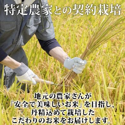 ふるさと納税 倶知安町 令和5年産 北海道 倶知安町産 ななつぼし 精米 5kg×4袋 計20kg 特A 米 ショクレン