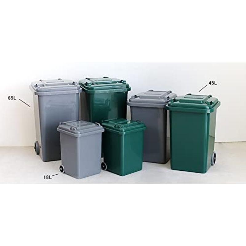 ダルトン(Dulton) フタ付きゴミ箱 グリーン 45L PLASTIC TRASH CAN 100