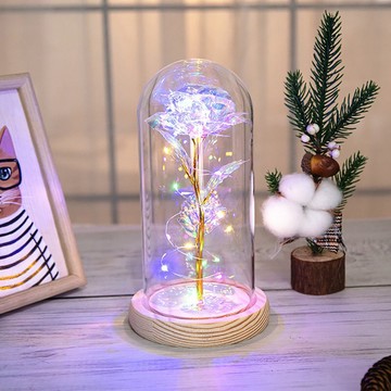Flowers&Plants 玫瑰永生花小夜燈 (七彩氛圍燈光LED玻璃罩D004)