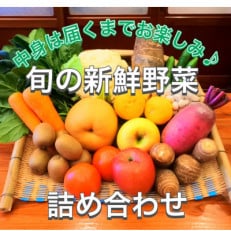 四季折々の新鮮野菜詰め合わせ　旬をお届け!　100サイズ