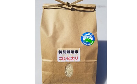 減農薬・化学肥料不使用 特別栽培コシヒカリ 10kg