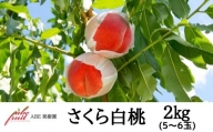 No.2304株式会社ABEFruit　桃　さくら白桃2kg