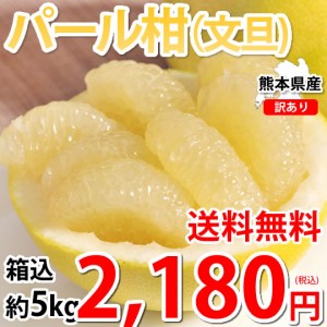 パール柑 5kg 箱込 (内容量4kg 不良果補償分500g)  文旦 みかん 送料無料 訳あり 無選別サイズ混合 熊本県産 グレープフルーツ 蜜柑