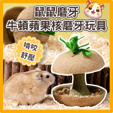 (牧草製成)牛頓的蘋果核 倉鼠造景 倉鼠食盆 倉鼠飼料盆 倉鼠用品 黃金鼠用品 倉鼠玩具 磨牙玩具
