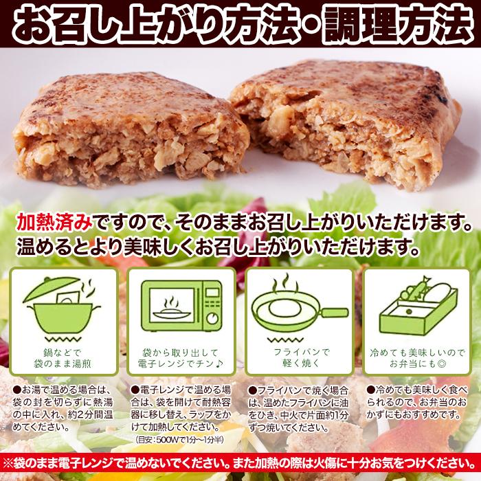 ハンバーグ 大豆ミート ベジタリアン ダイエット レトルト セット 肉不使用 常温保存 非常食 約90g×3袋 〔メール便〕