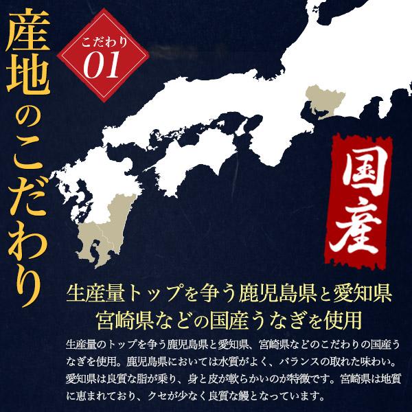 うなぎ 蒲焼き 国産 約120〜130g×2尾 鰻 贈答 ギフト お中元  熨斗対応可 お取り寄せ グルメ 冷凍便