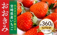 期間・数量限定 宮崎県産 イチゴ 「おおきみ」 1パック (360g以上:12粒～15粒程度)_M260-001