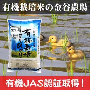 ふるさと納税 新潟県産ＪＡＳ有機栽培米コシヒカリ　玄米１０ｋｇ 新潟県上越市