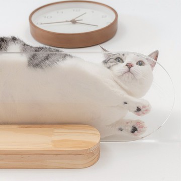 透明貓走道 Oblong-M款 (60CM)