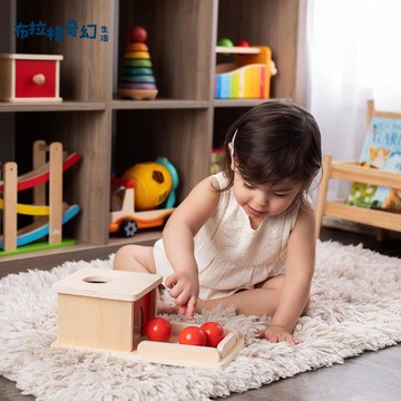 【台灣公司 可打統編】免運 蒙特梭利木制益智親子蒙氏永久目標盒玩具蒙臺幼兒早教啟蒙積木盒 可開發票 全館五折 工廠現貨直銷 新品特價 b9182
