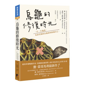 烏龜的修復時光：一片一片龜殼，見證受傷的烏龜如何修補自己