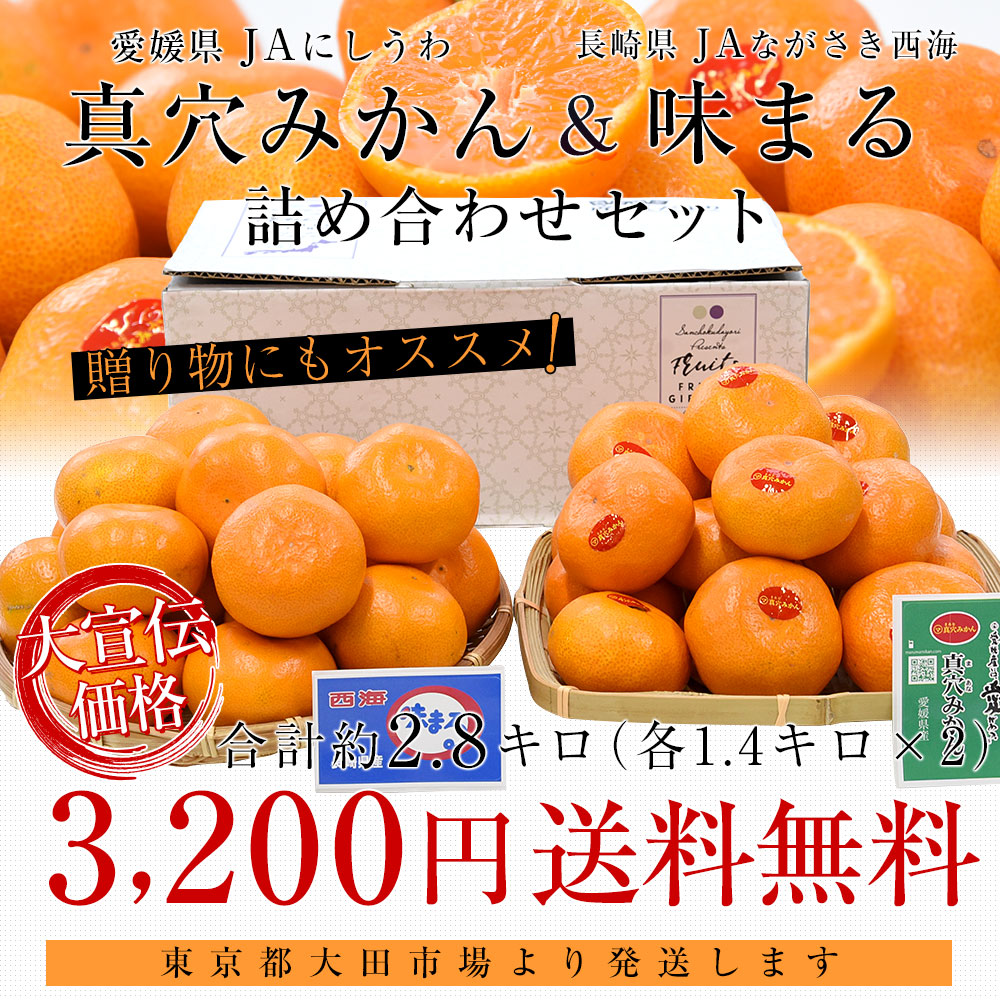 愛媛県 JAにしうわ 真穴みかん＆長崎県 JAながさき西海 味まる　約2.8キロ(各1.4キロ×2) LからMサイズ 送料無料 ミカン 市場発送