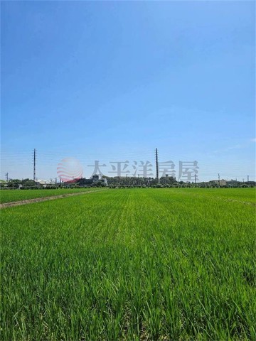 新屋區近市區5米路農地｜桃園市新屋區新屋