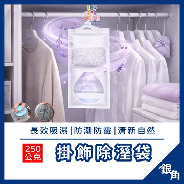 掛式除濕袋 衣櫥除濕 防霉除臭袋 吊掛除濕袋 吸濕袋 衣櫃防潮 鞋櫃櫥櫃收納箱乾燥包 室內居家防潮包 除濕包 衣物防潮