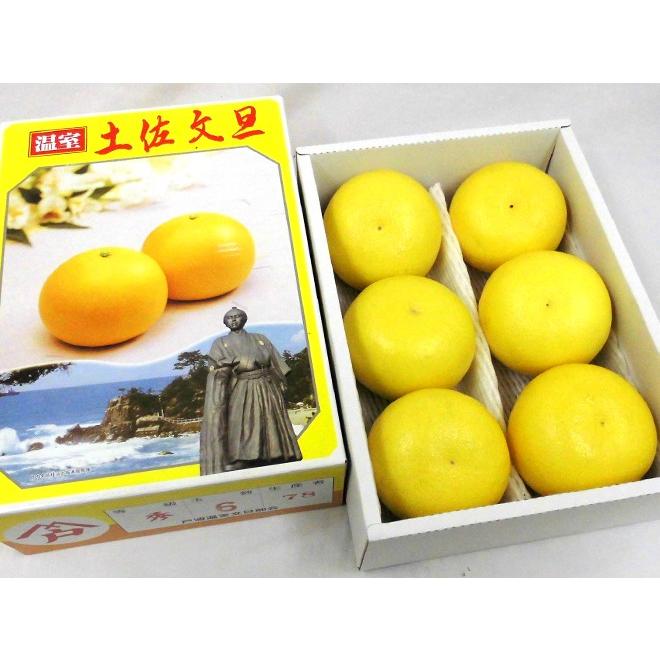 土佐高知 ”温室土佐文旦” 秀品 4〜8玉前後 約3kg 送料無料