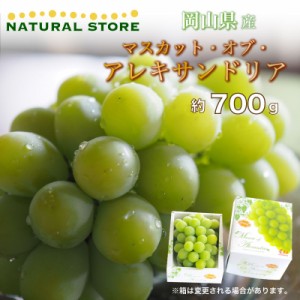  マスカットオブアレキサンドリア 1房 約700g 岡山県産 マスカット  夏ギフト 御中元 お中元