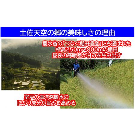 ふるさと納税 ★令和5年産★農林水産省の「つなぐ棚田遺産」に選ばれた棚田で育てられた棚田米　土佐天空の郷　ヒノヒカリ　10kg 高知県本山町