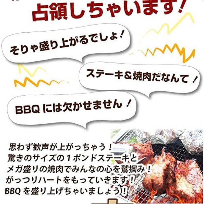 ステーキ＆焼肉BBQギガ盛り 肉祭りセット ハサミ トング トレー付き