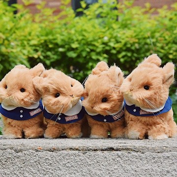 【中等難度系列】我要去上幼稚園/DIY材料包 毛絨關節玩偶侏儒兔