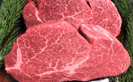 飛騨牛 5等級 ヒレ肉 ヒレステーキ 厚さ3cm以上 3枚で900g 希少 BBQにも 古里精肉店[Q554]