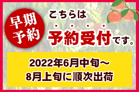 桃 もも 和歌山県産 紀の里の桃 約4kg 《2024年6月中旬-8月中旬頃より順次出荷》 紀の里の桃 送料無料 12-15玉入り 旬の桃を厳選 あかつき モモ 果物 フルーツ お取り寄せ 予約 和歌山 白鳳 日川白鳳 八旗白鳳 清水白桃 川中島白桃 つきあかり なつおとめ