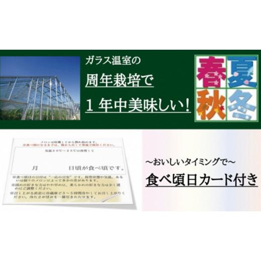 ふるさと納税 静岡県 袋井市 クラウンメロン（白級・山級）の食べ比べセット メロン 人気 厳選 ギフト 贈り物 デザート グルメ フルーツ 果物 袋井市