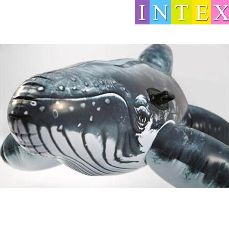 INTEX クジラフロート ビッグサイズ 浮き具 浮き輪 ビーチフロート ボート 浮輪 うきわ ウキワ 夏 プール 海水浴 水遊び 川遊び リゾート  | LINEブランドカタログ