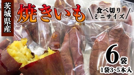 茨城県産 ミニ 焼き芋 6袋 入り イモ いも さつまいも サツマイモ さつま芋 スイーツ [CO005ci]