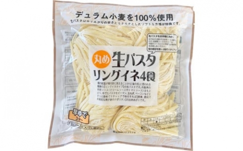 生パスタ  リングイネ 4.8kg  48食分( 麺 400g：4食 × 12袋 )｜生麺