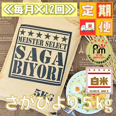 ふるさと納税 江北町 特A評価!『さがびより』白米5kg(江北町)全12回