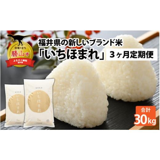 ふるさと納税 福井県 勝山市 令和5年産 新米 福井県の新しいブランド米 いちほまれ5kg ×2袋（10kg × 3ヶ月） [F-015042]