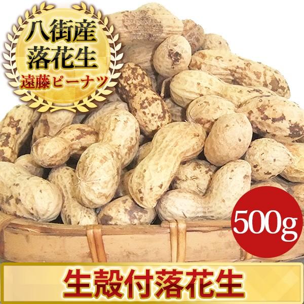 2023年度産 新豆 未調理なまから付落花生(ナカテユタカ)500g 千葉県八街産落花生