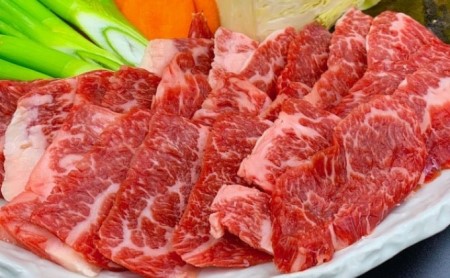 熊本県産 GI 認証取得 くまもと あか牛 焼き肉 用 切り落とし 合計600g