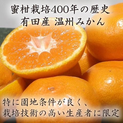 送料無料 お歳暮 メロン みかん 熊本 和歌山 有田みかん ギフト 高級 フルーツ 果物 高糖度 御歳暮 御礼 御祝 結婚内祝 プレゼント 贈り物