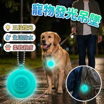 【台灣出貨】寵物發光吊墜｜夜間安全吊飾｜狗狗項圈燈｜LED發光掛飾｜夜間散步警示燈｜寵物夜行吊飾｜發亮項圈配件