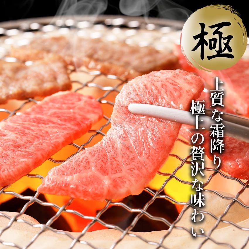 飛騨牛 肩ロース 焼肉用 冷凍 (400g) 焼肉 A4等級 A5等級 贈答用 ギフト 正月 年末年始 プレゼント