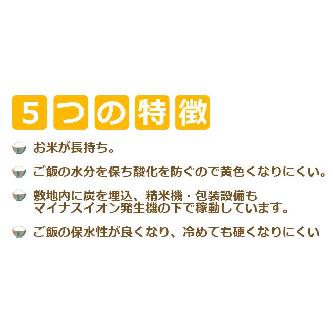 米 10kg 送料無料 国内産 日本の農家直送米 ブレンド米 白米